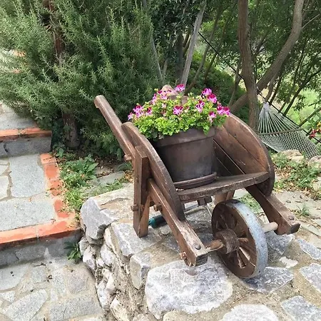 La Zagara In Fiore *