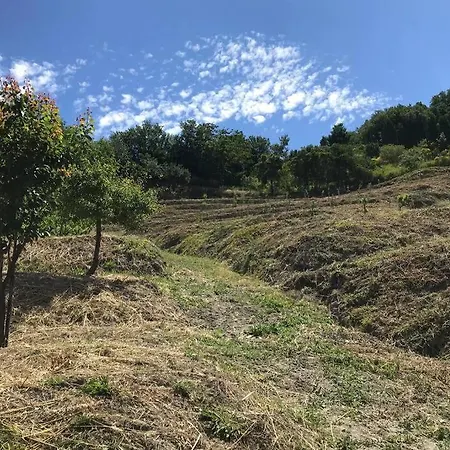 La Zagara In Fiore בית נופש *